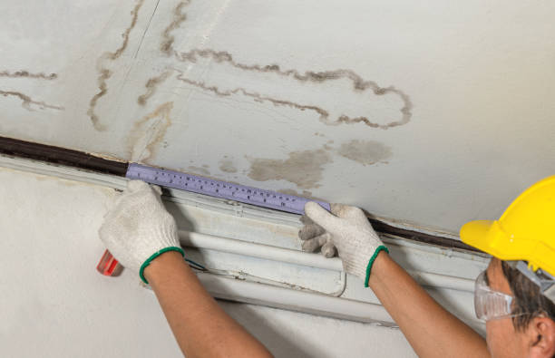 Reliable Sewage Cleanup contractor in Andover, NH by Water Damage Irwin